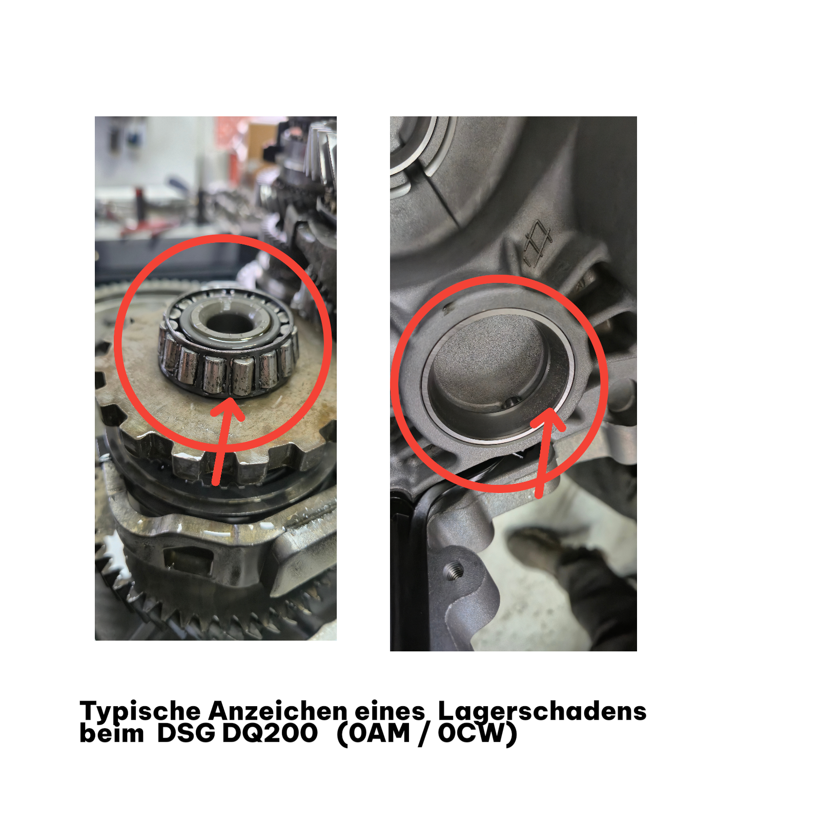 AZ-Teile® Lagersatz + Schaltgabel-Reparatursatz DSG 7-Gang DQ200 (0AM, 0CW) passend für VW Audi Seat Skoda