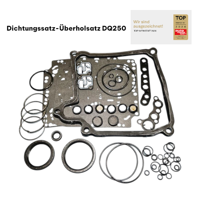 Dichtungssatz DSG 6 Gang DQ250 02E Mechatronik+Getriebe